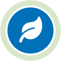 icon of a leaf with a blue and green background