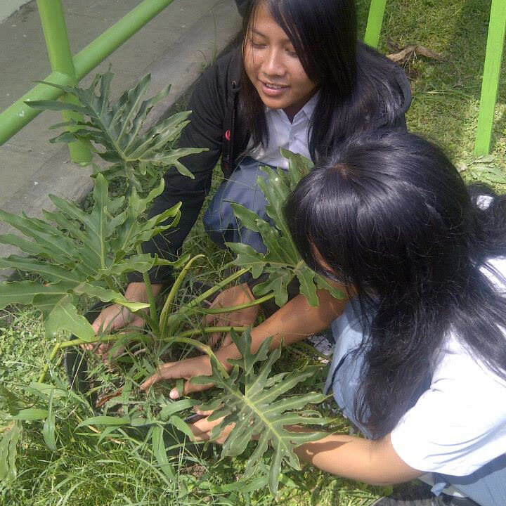 two girls doing yardwork